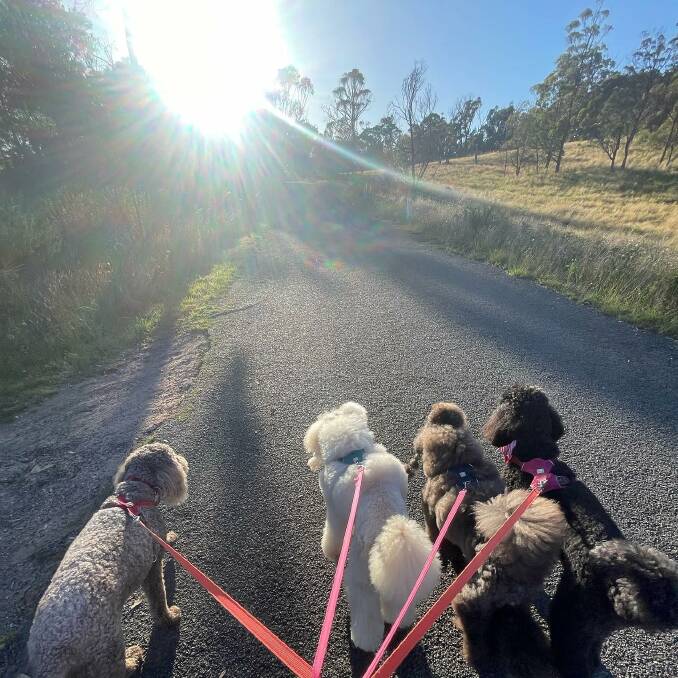 If you are lucky enough to have four legs, then Dogue's country retreat is the perfect place for a catch-up with your favourite pack of like-minded friends. Picture supplied