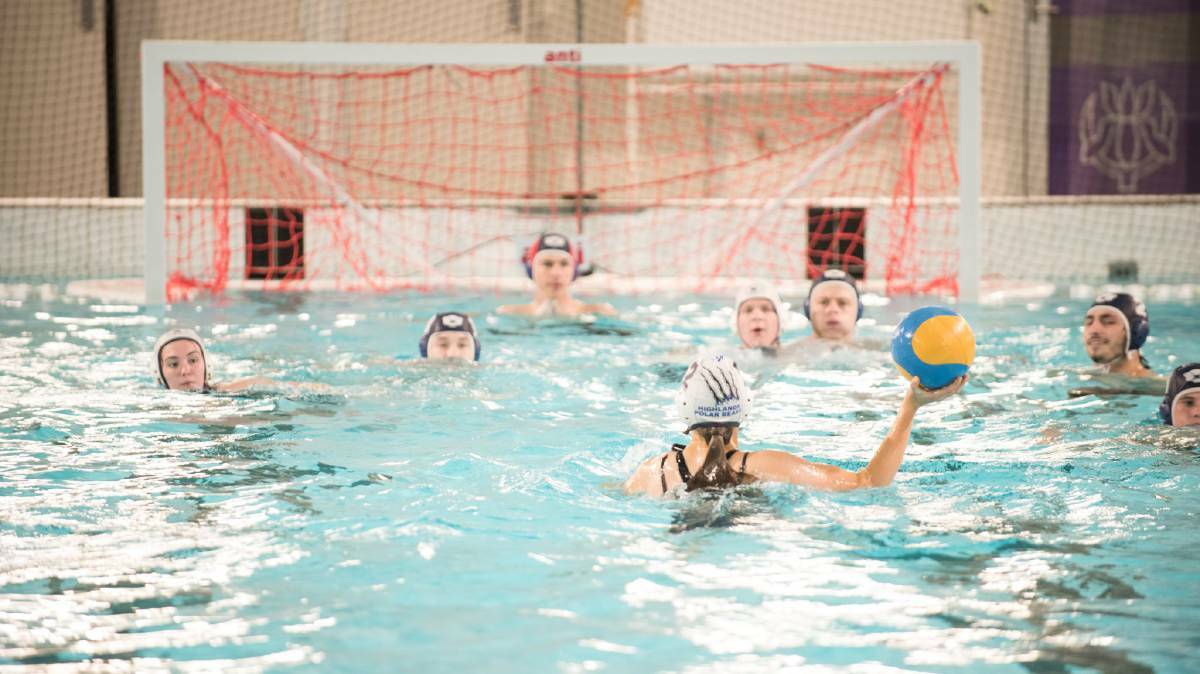 Dolphins Develop New Water Polo Tricks