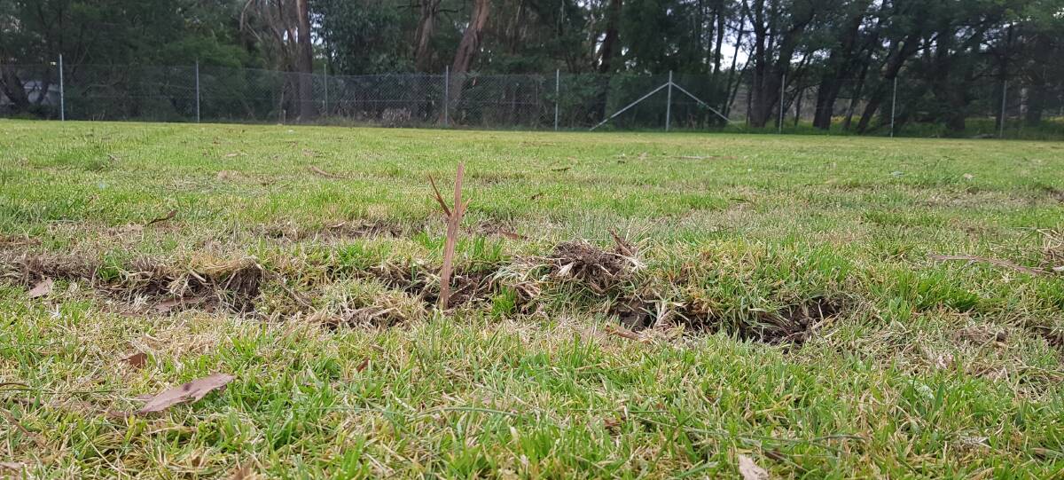 DON'T TREAD ON ME: The Mittagong Soccer Club are wanting fencing protection for their soccer fields so hoons will stop destroying the surfaces. 