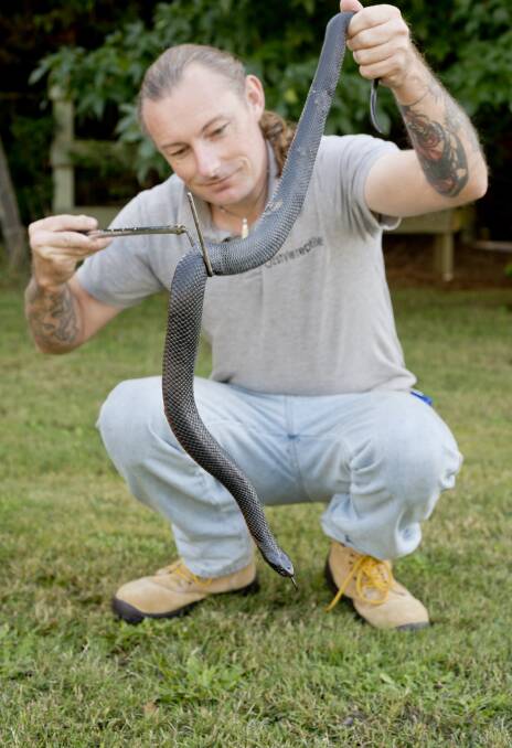 Ray McGibbon from Ozstyle Reptiles holding a Red Belly Black Snake.