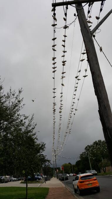 Lucky break: This scene of birds on a wire continued well out of shot promising unlimited chances for good luck for the more superstitious pedestrian. Photo: Bob Connor