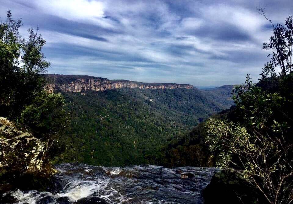 A scene from Fitzroy Falls overlooking the escarpment. By Samuel Cheetham