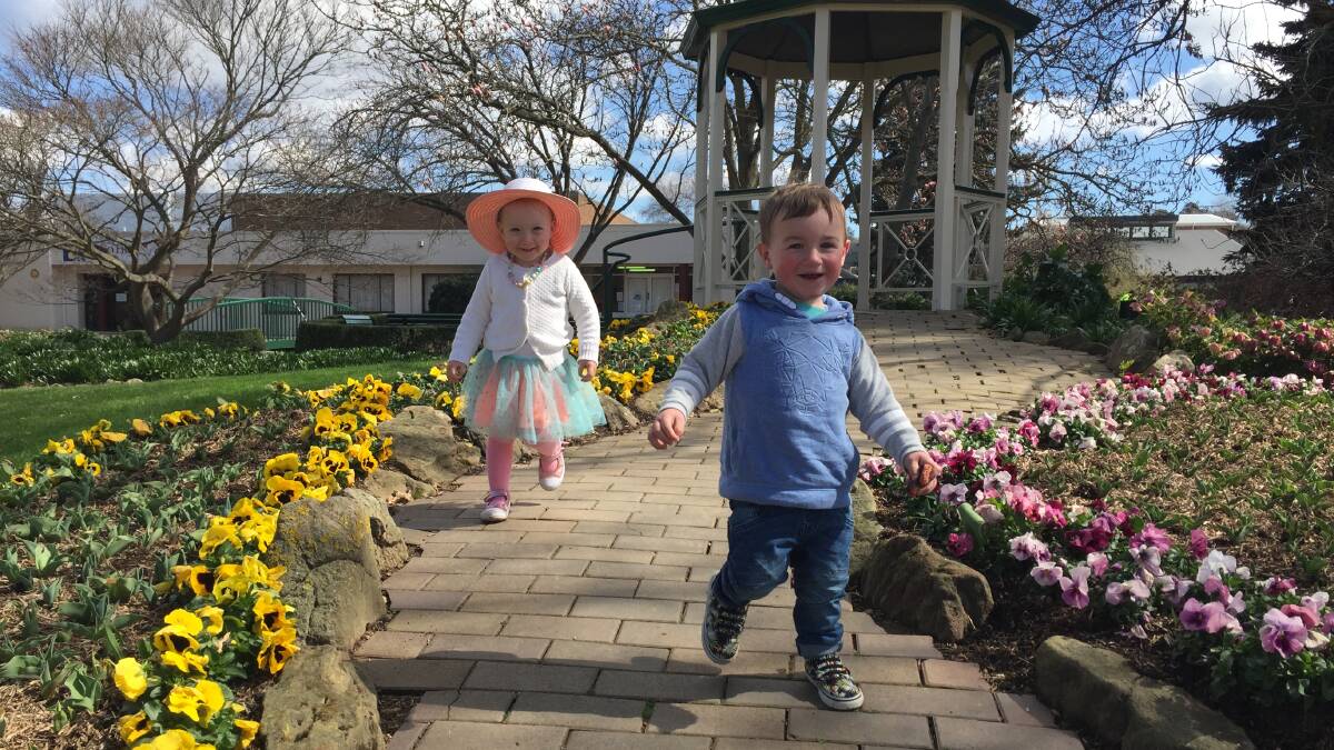 EXCITED: Poppy (2) and Noah (2) enjoy looking at the flowers already in bloom at Crobett Gardens. Photos: Lauren Strode