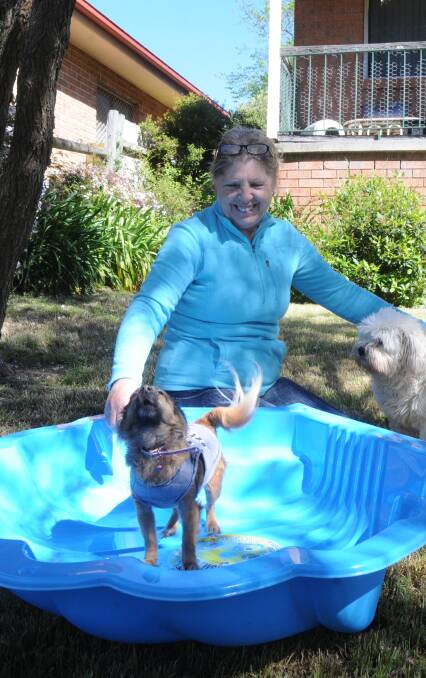 HELP NEEDED: Golden Oldies Animal Rescue has called on the Highlands community to donate paddling pools to help keep animals cool in the warmer months.