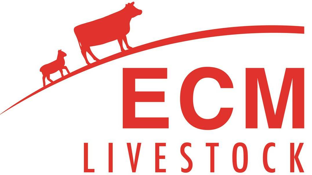 Restocker heifers cheaper at March 21 sales