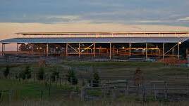 ‘Unusual’ price rise at Moss Vale saleyards