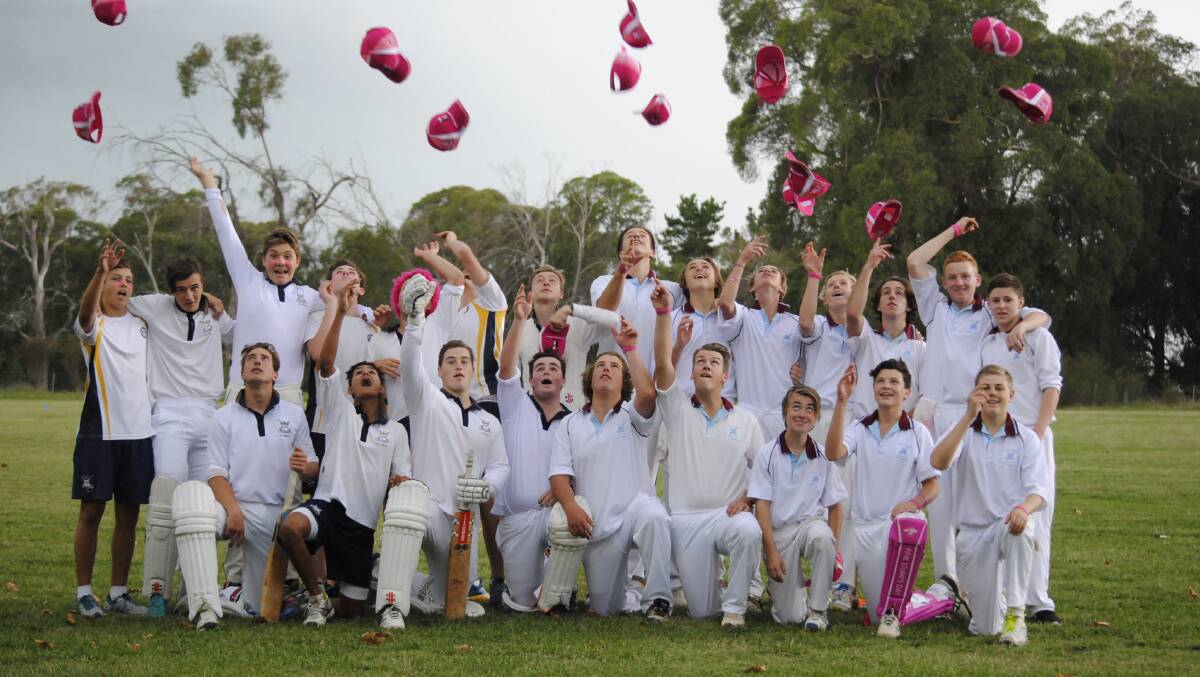 PINK STUMPS: Chevalier and Oxley teams participating in Pink Stumps Day at Chevalier College on Saturday, February 18. Photo: Madeline Crittenden.
