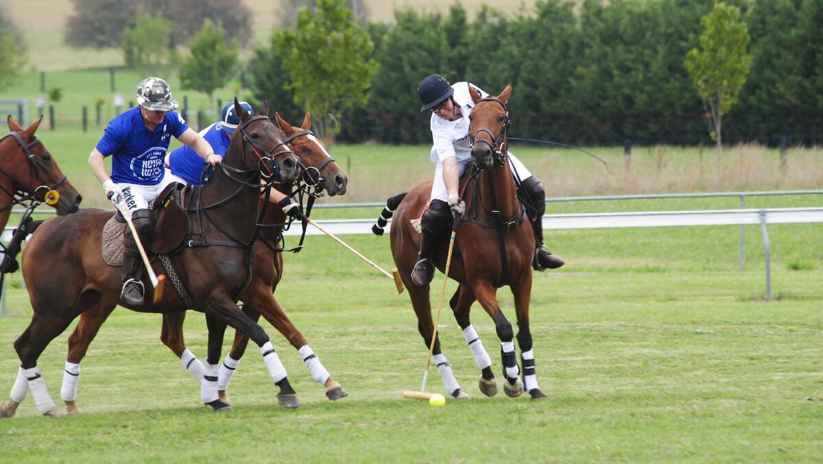 INAUGURAL SUCCESS: Royal Hotel Bowral and Southern Highlands Brewing Co in action at the first Southern Highlands Polo. Photo: Madeline Crittenden. 