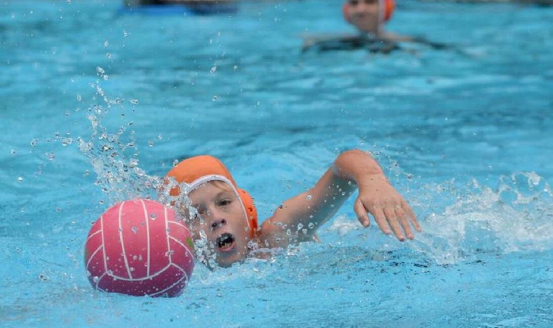TOUGH COMPETITION: Round five of the Southern Highlands water polo competition was held at Frensham Pool on Monday. Photo: File