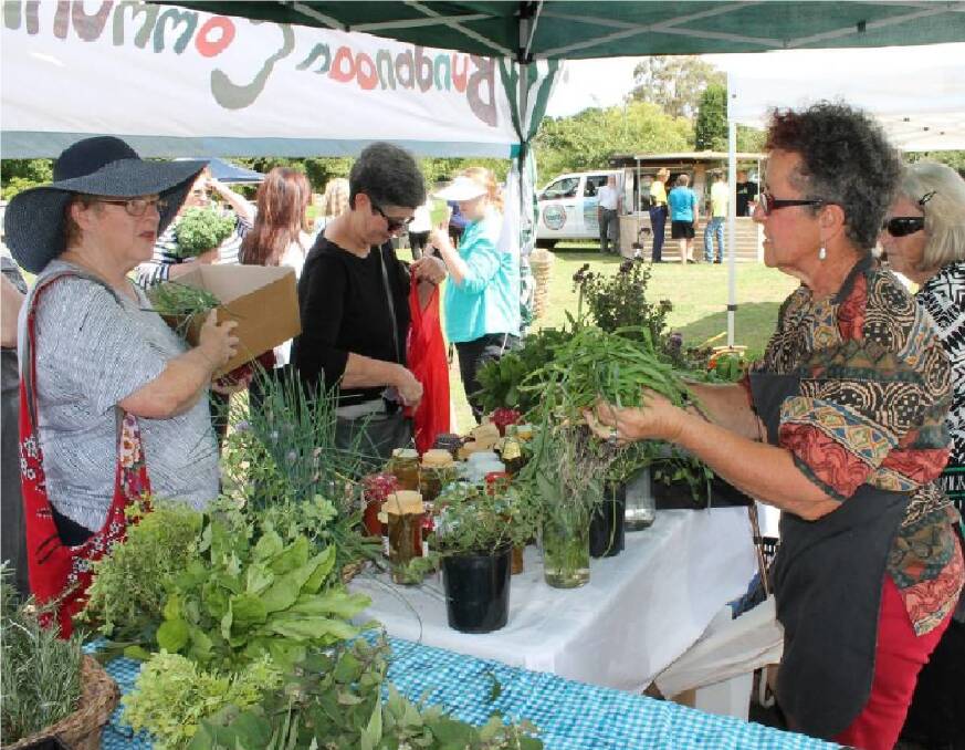 BARGAINS GALORE: Bundanoon Community Garden Secretary Trish Jessop serves the crowds at a previous market. This weekend you can visit the Moss Vale and Berrima Schoolyard Markets. Photo: Jen Walker