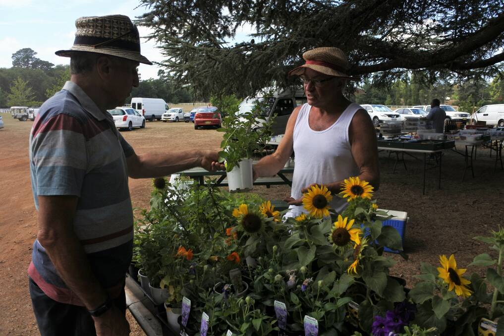 TO MARKET, TO MARKET: Exeter's Kaveh Haddadi buying some plants from Wollongong's Tony Booth at a previous Exeter Market. Photo: File