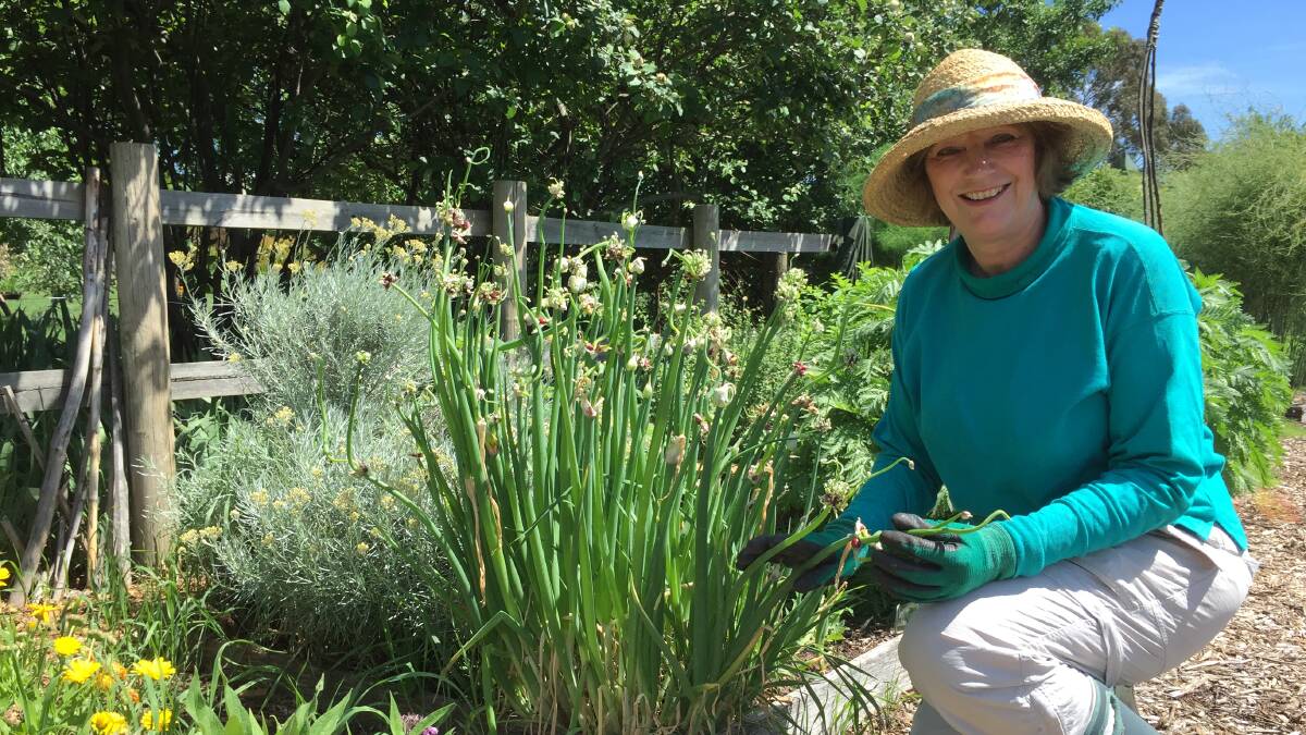 Margaret Perrin volunteers in the Riversdale garden.