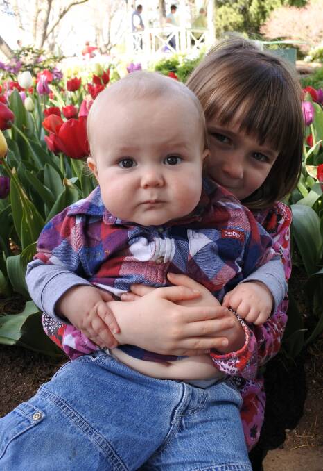Adding to the numbers: Amelia (6) came with her brother Henry (9 months) from Goulburn to see the beautiful flowers. Photo: Claire Fenwicke