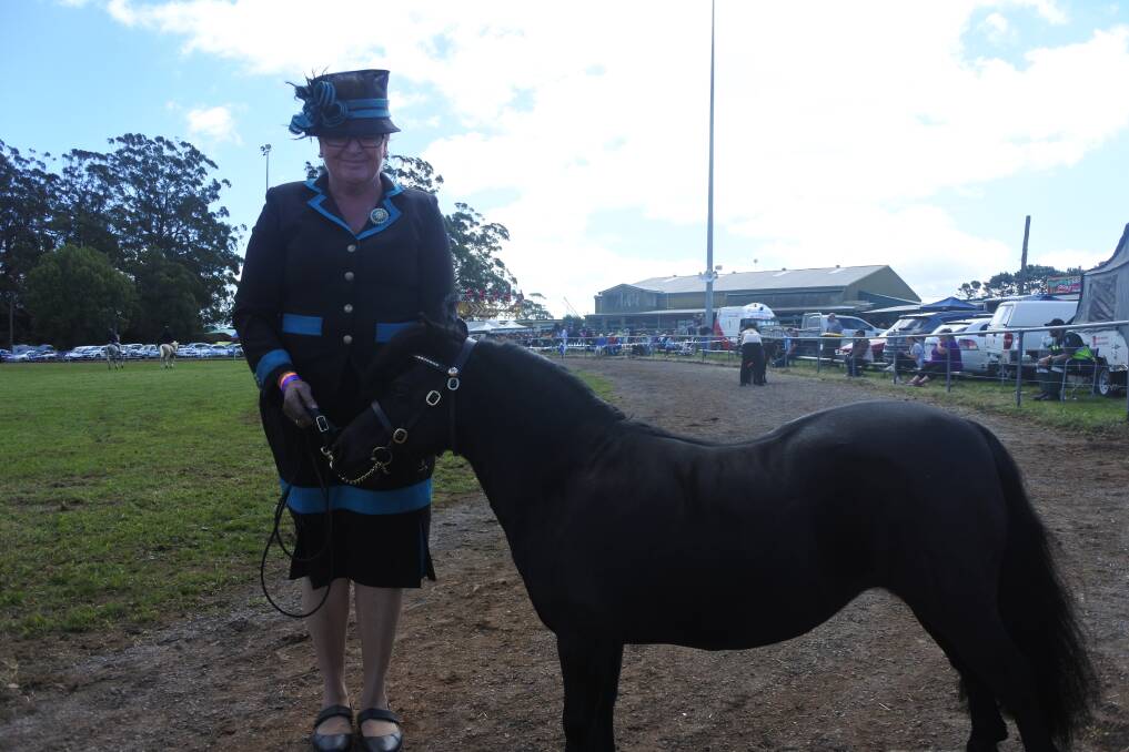 Australian miniature ponies state delegate Lindy Cosgrove with Bold As Brass Issabelle. Photo: Claire Fenwicke