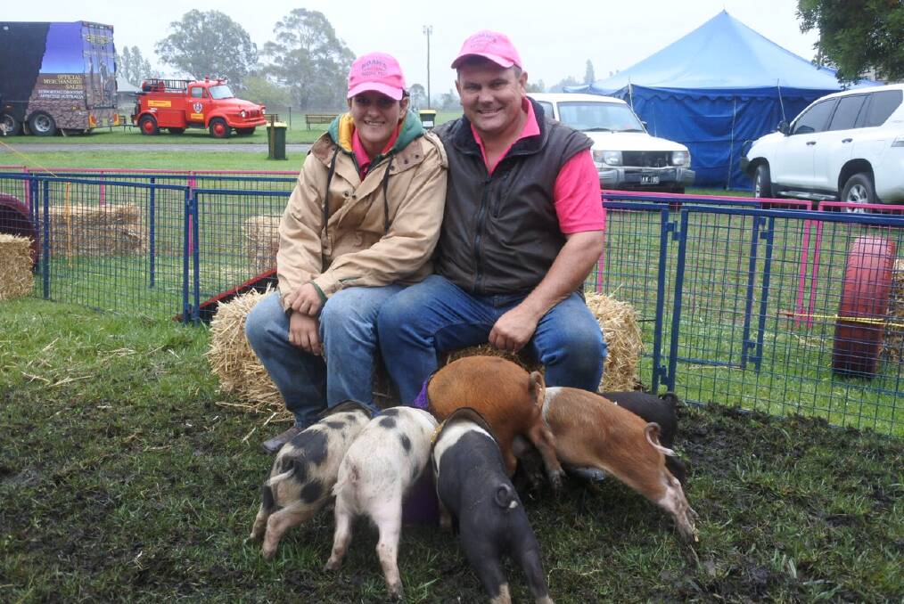 Kevin Kiley with his daughter Megan and the six pigs ready to race at the Moss Vale Show. Photo: Claire Fenwicke