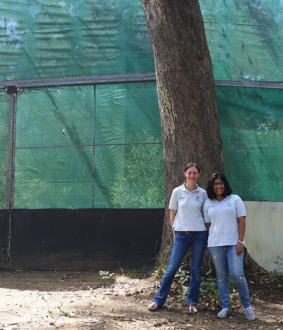 Caring for birds: University work experience students Jana Schader and Amy Selvaraj outside Peggy McDonald's huge 'Peter Spitzer free-flight aviary' near Fitzroy Falls. Photo: Claire Fenwicke