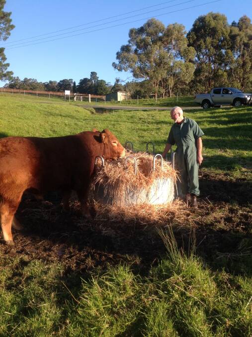 In the field: Dr Bob Rheinberger has been named Australia's 2017 Bovine Practitioner of the Year. He has been a practising vet for more than 30 years. Photo: supplied