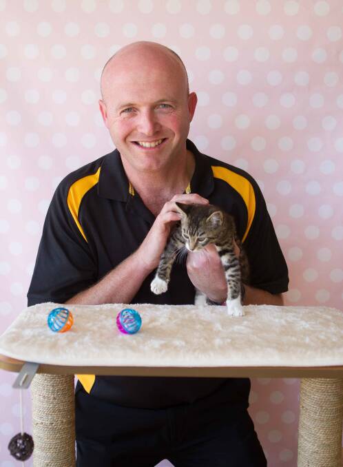 Petbarn Mittagong store manager Sean McKinley with one of the kitties who is ready to find her forever home. Photo: supplied