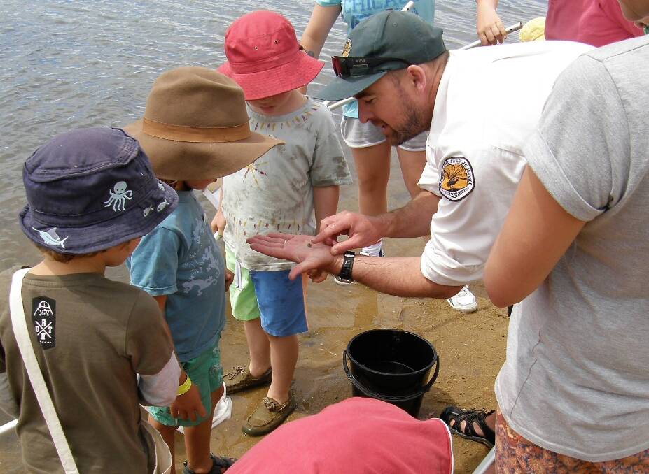 Children taking part in a WilderQuest NSW Discovery Program. Photo: file