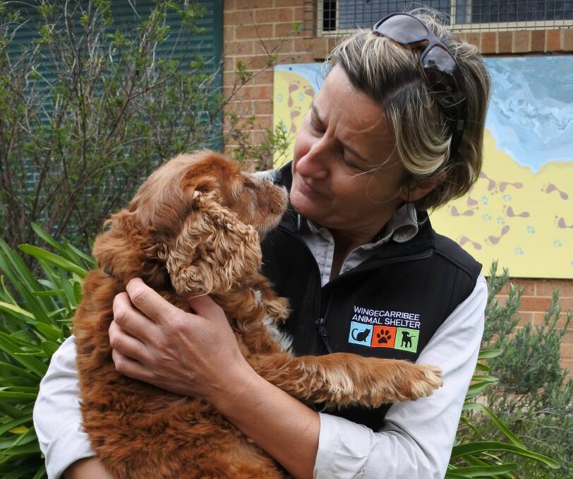 SHELTER ON 'PAWS': While the shelter may be temporarily closed, animals like Charlie (with Maria Whitehouse) will still be looked after. Photo: Claire Fenwicke