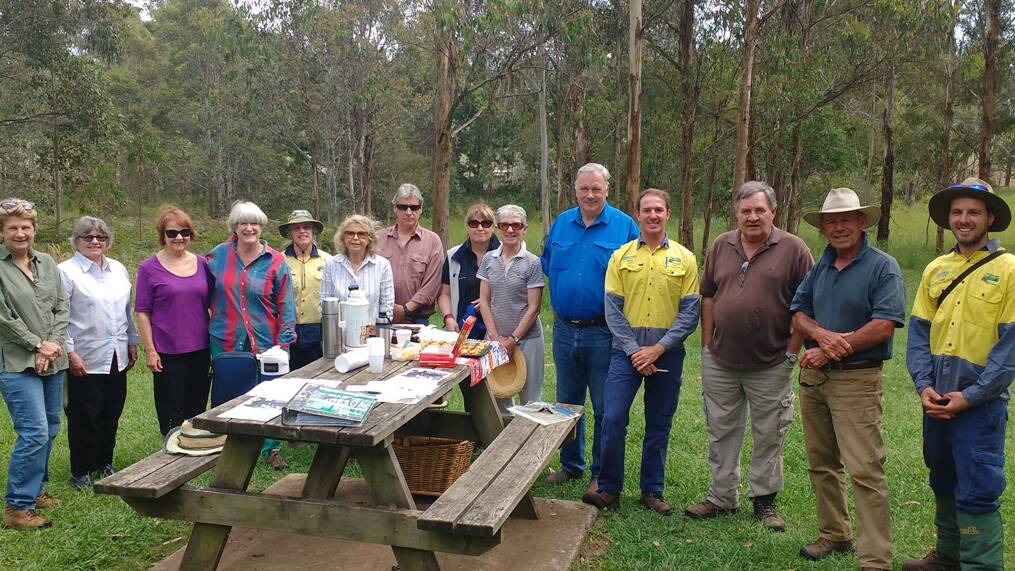 Mansfield Reserve is in good hands with the formation of a Bushcare group to focus especially on its protection. Photo: WSC