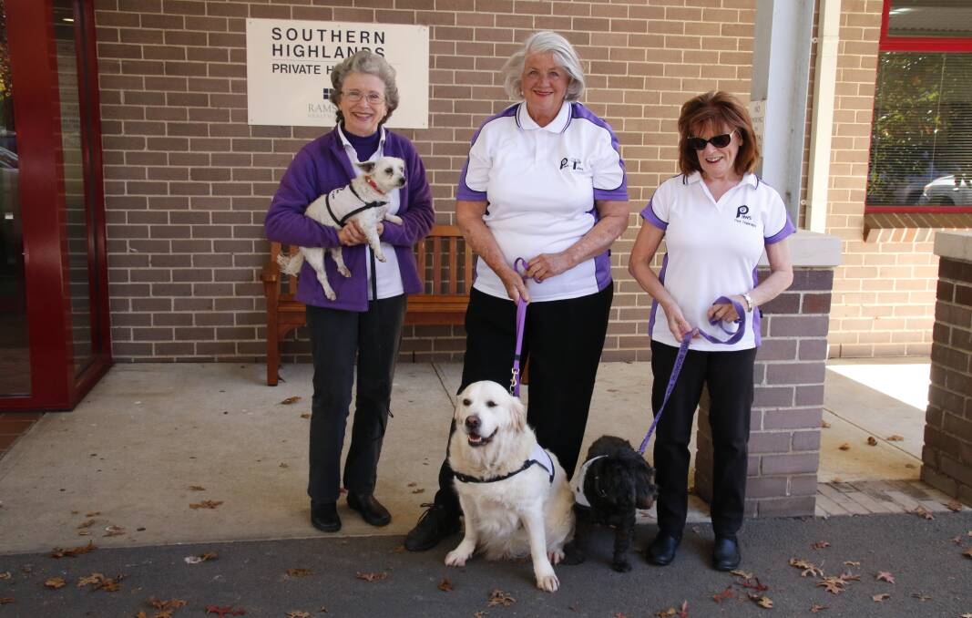 Proud pooches: Paws Pet Therapy volunteers Gwen and Molly, Pamela and Olivia and Wendy and Angus love helping patients at the Southern Highlands Cancer Centre. Photo: Victoria Lee