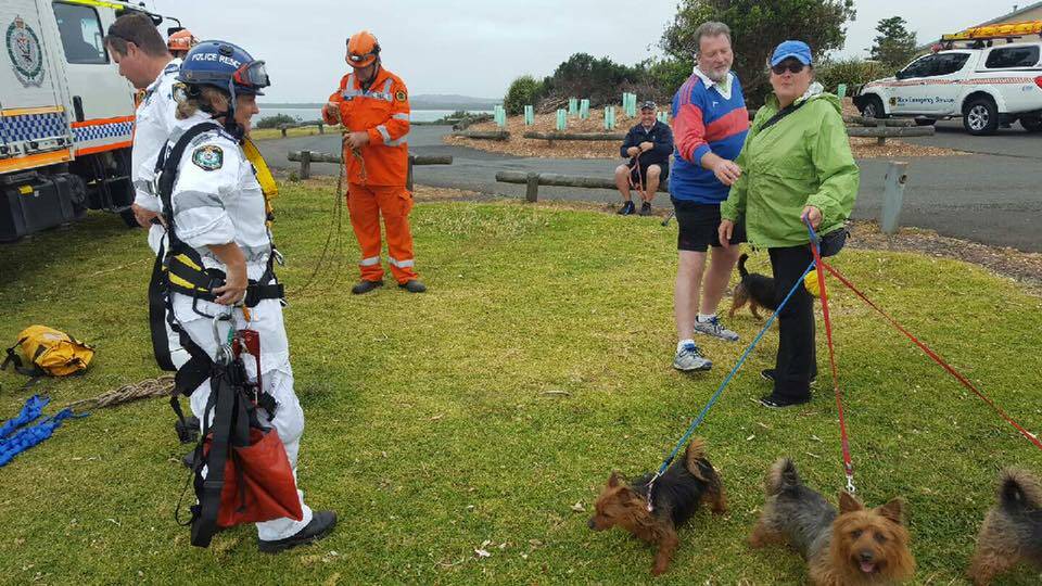 Stranded silkies rescued after falling over cliff in Gerroa