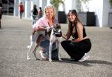 Jo Cunningham and her daughter Abbie with their new family member Jai. Picture Ross Schultz. Picture supplied