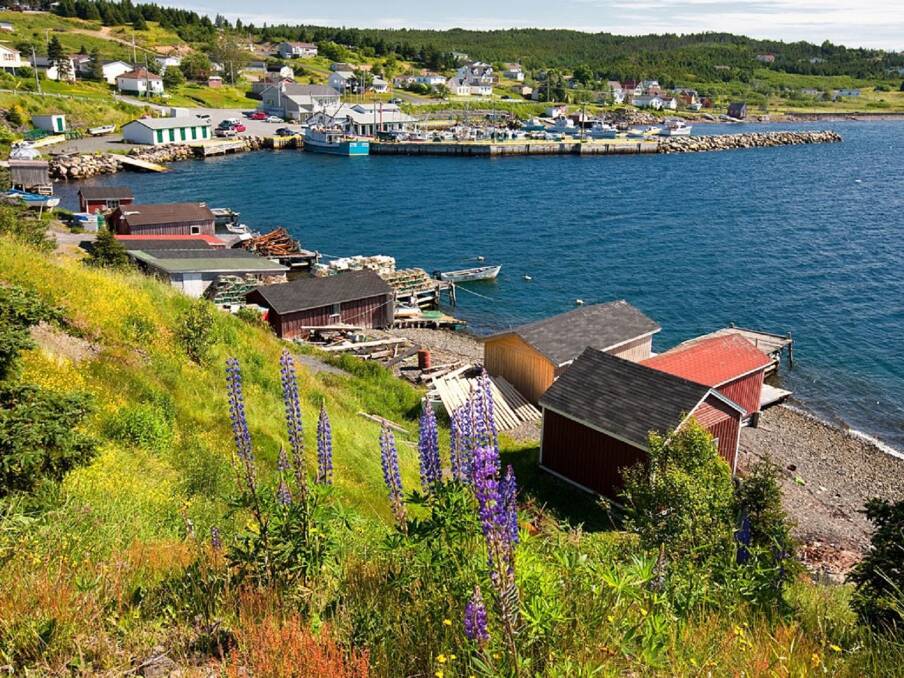PICTURESQUE: Out-of-the-way Dildo township and harbour has been appraised variously from “really beautiful,” to “bleakly pretty.” Photo: All Canada Photos.