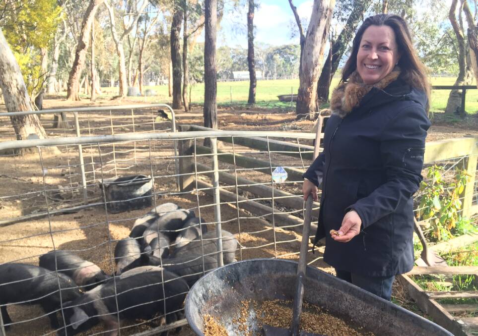 PORK TALK: Katrina Sparke of Redleaf Farm feeds some of her piglets. You'll find their succulent, organic meat on the menu in hatted restaurants in Sydney, as well as at local hotspots like Biota.