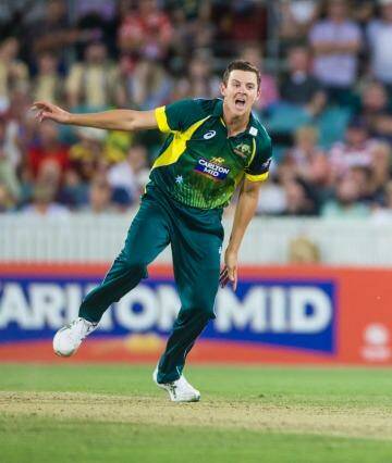 Picking up where he left off: Test hopeful Josh Hazlewood appeals during the win over South Africa in Canberra. Photo: Matt Bedford