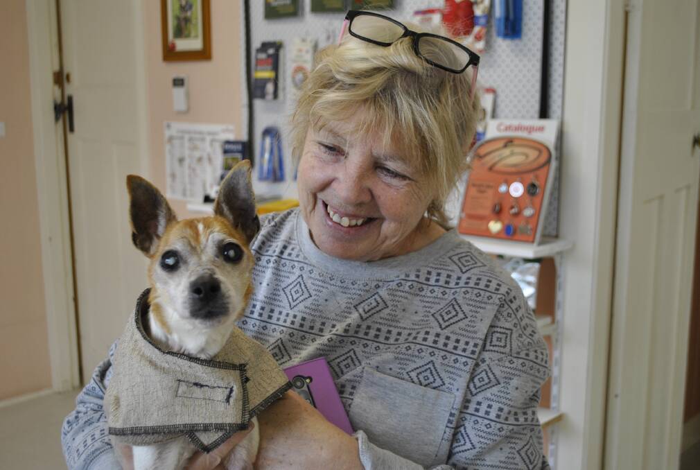 Mishka the diabetic dog was rescued by Golden Oldies Animal Rescue founder Gina Fallon. Photo by Claire Fenwicke
