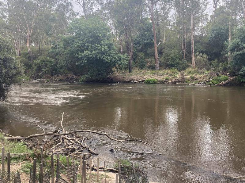A body has been found in the search for a man who went missing near the Yarra River. (Melissa Meehan/AAP PHOTOS)
