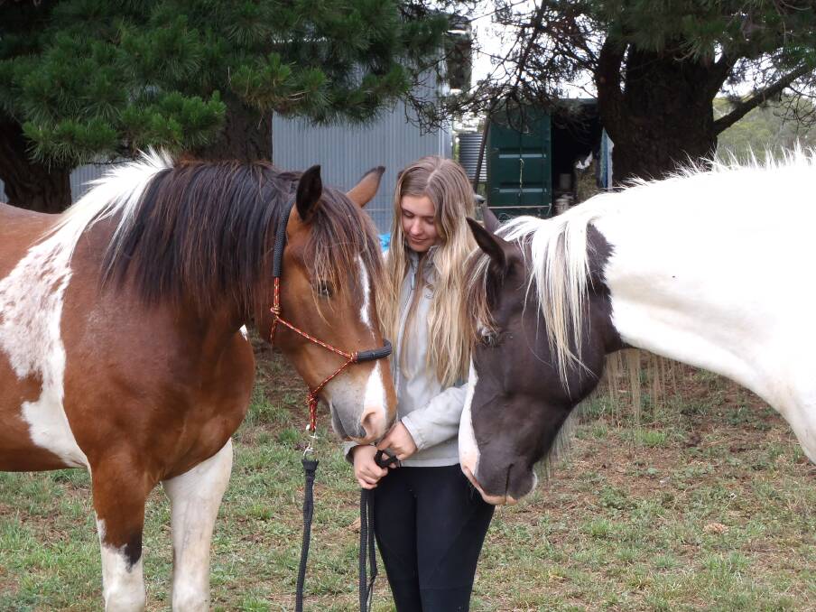 Horse whisperer  shares a secret to healing