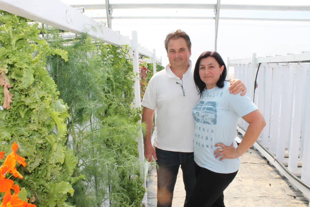 Frank Maly and Sylvie Chaumont are redefining the definition of fresh herbs and greens. 	Photo by Jen Walker