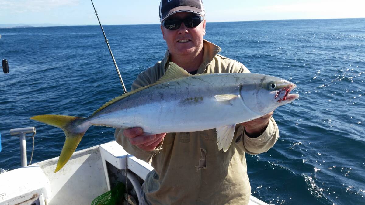 Scott Beattie with a kingfish he caught last weekend. 	       Photo supplied