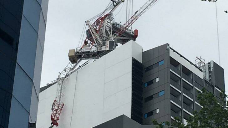 Two workers dangle from collapsed crane in North Sydney Photo: Sebastian Bird