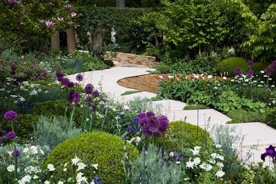 The garden built by Conway Landscaping at Chelsea Garden Show, designed by Charlie Albone. 	Photo: Charlie at Chelsea