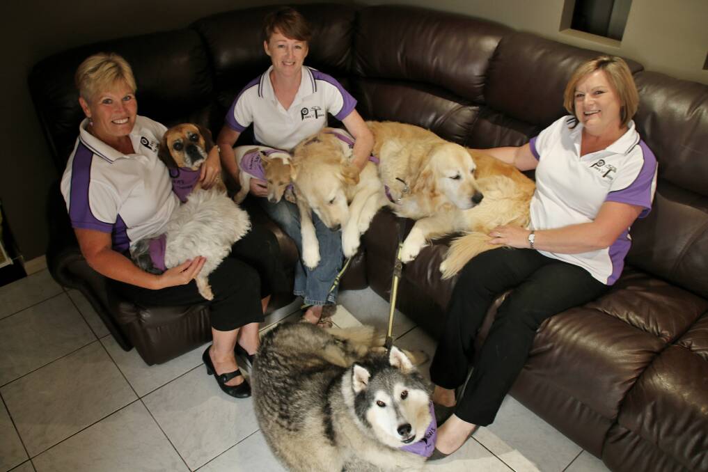 Paws Pet Therapy volunteer Maria Morton with Ben and RJ, Paws and Tales Co-ordinator Lisa McKay with Ringo and Rocky, and Paws Pet Therapy president Sharon Stewart with Hudson, and Zep at front. Photo by Victoria Lee
