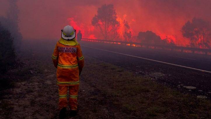 A hot Christmas ahead: NSW RFS firefighters battling high temperatures and strong winds in the fire at Maddens Plains near Bulli. Photo: NSW RFS Facebook