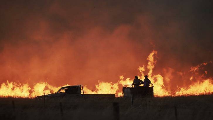Farmers battle a fire near Cassilis. Photo: Nick Moir