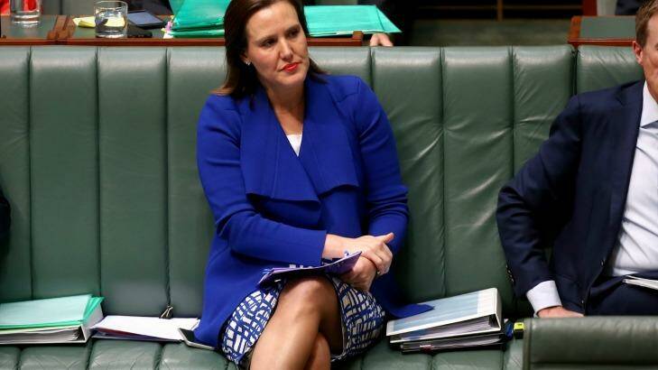 The Greens will target the Liberal seat of Higgins, held by Assistant Treasurer Kelly O'Dwyer. Photo: Alex Ellinghausen