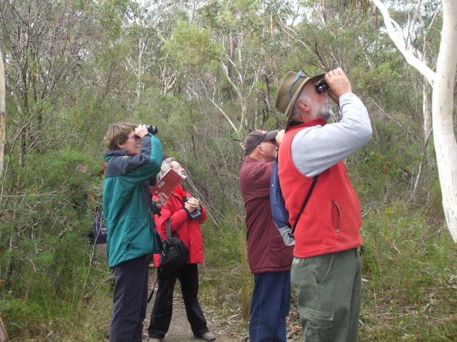 Anyone is welcome to try a Birdlife Southern Highlands field trip. Photo supplied