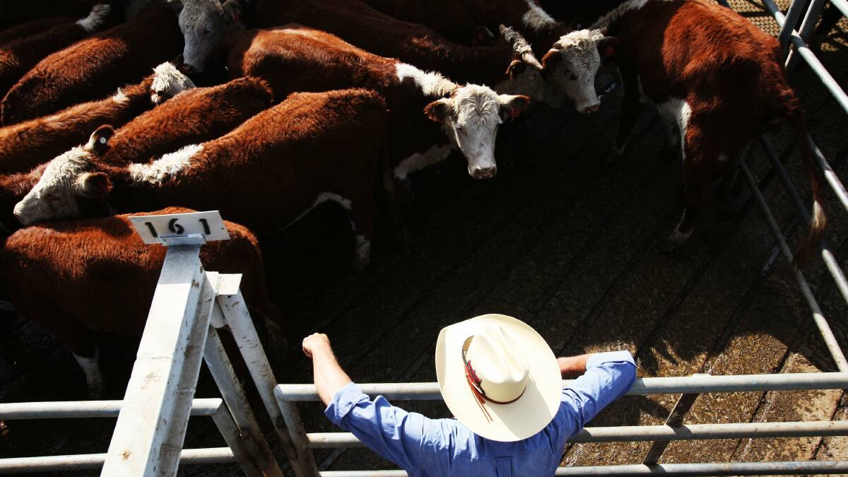 Livestock sales hit million dollar mark