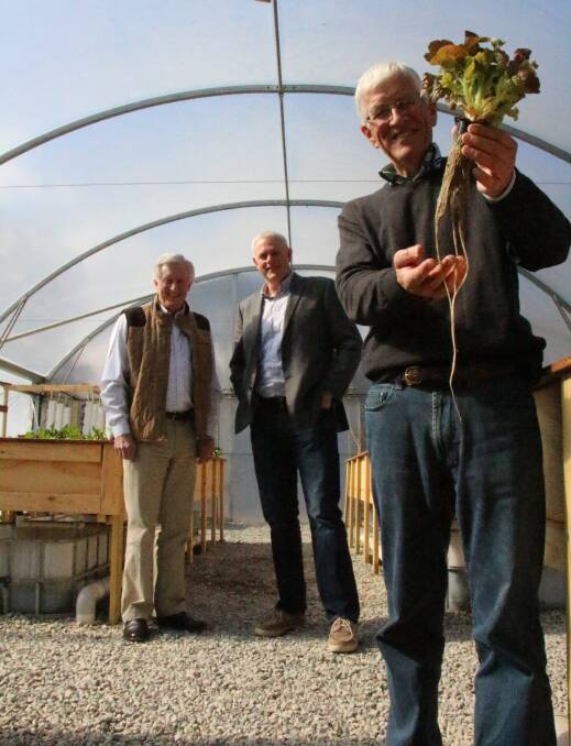 John Hewson, Grant Blanchard and Rory Matthews in Mr Blanchard's greenhouse. Photo by Dominica Sanda