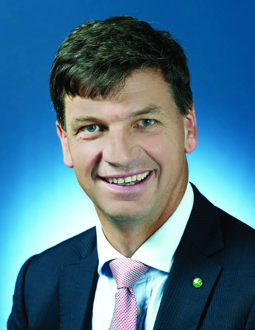 Member for Hume Angus Taylor. Photo: supplied
