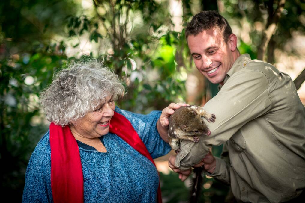 Miriam Margolyes with Quentin the Quoll at Featherdale Wildlife Park. Photo supplied