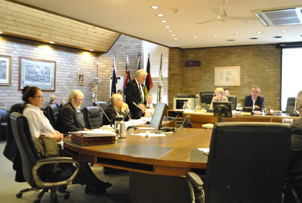 Councillors debating the business paper. Photo by Dominica Sanda