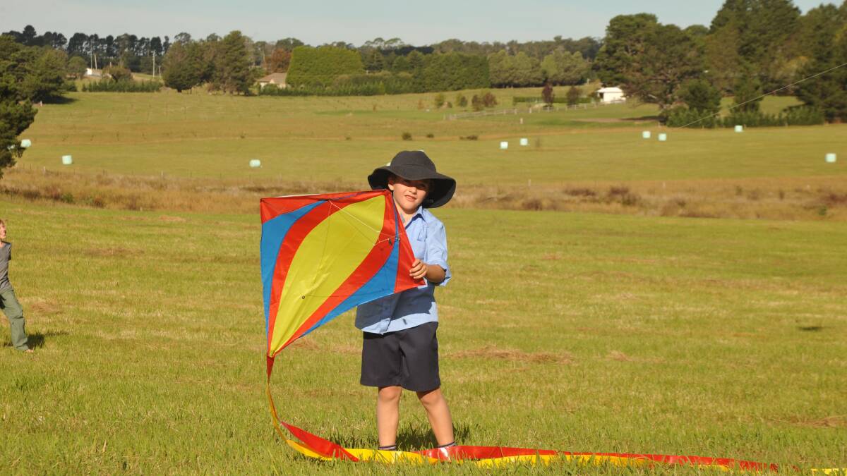 Tudor House kite day.