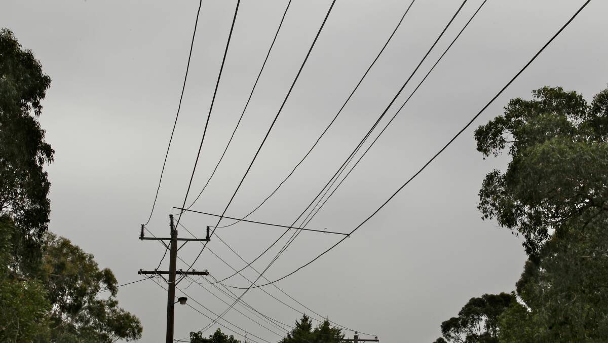 The debate surrounding power poles on Exeter Road will be addressed at the 2014 Local Government Conference. Photo: FDC